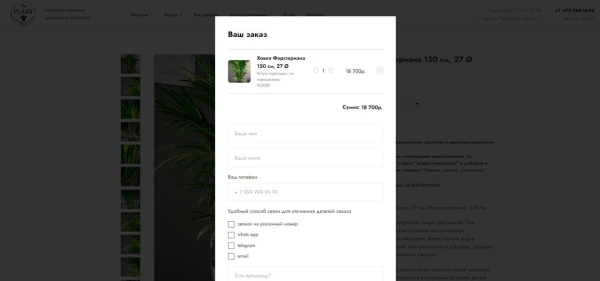 Выращиваем поисковый трафик на засушливой почве ограничений. Кейс зеленой студии The Plant
Выращиваем поисковый трафик на засушливой почве ограничений. Кейс зеленой студии The Plant