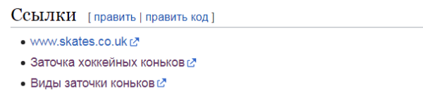Шайбу! Шайбу! Как хоккейный фанат вывел в топ-10 инфопортал для болельщиков