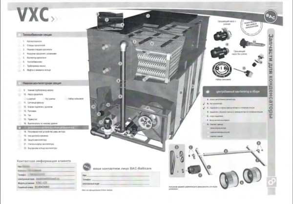 Особенности SEO в узкой нише. Кейс компании Bacparts