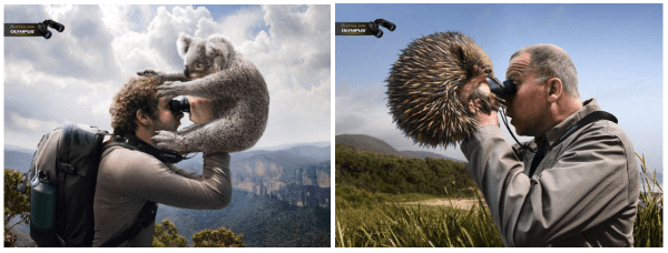 Как сделать привлекательный креатив в таргетированной рекламе: советы и примеры