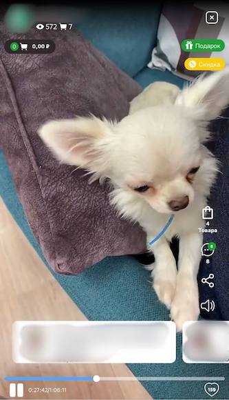 
            В СберМаркете появились прямые эфиры
        