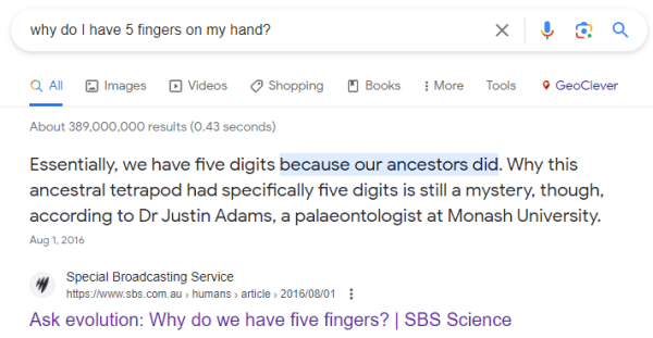 Как засветиться в ответах Bard? Большое исследование Как засветиться в ответах Bard? Большое исследование