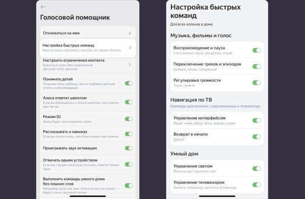 Алиса научилась понимать команды без обращения к ней по имени Алиса научилась понимать команды без обращения к ней по имени