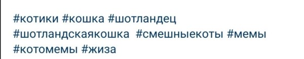 Что делать с Instagram* в 2023 году
Что делать с Instagram* в 2023 году
