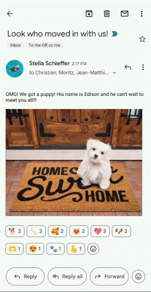 
            Gmail реализует возможность реагировать на письма с помощью эмодзи
        