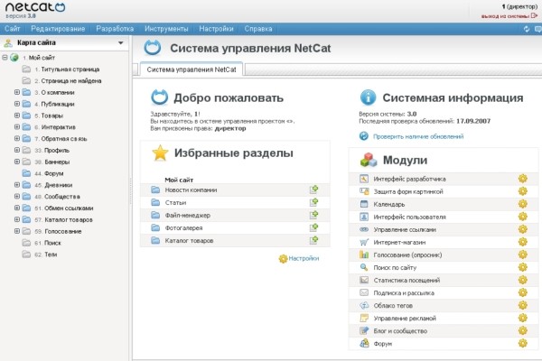 Топ-10 CMS для сайта. Обзор Топ-10 CMS для сайта. Обзор