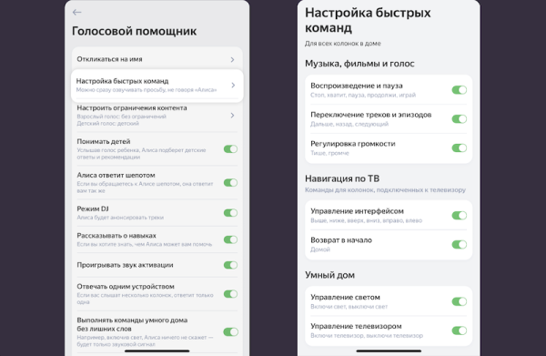 Алиса научилась понимать быстрые команды
Алиса научилась понимать быстрые команды
