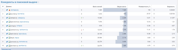 Как продвинуть сайт в Google при высокой конкуренции. Кейс Grizzly Digital Company