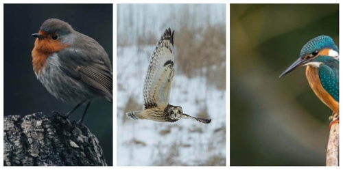 Соотношение сторон это круто Соотношение сторон это круто