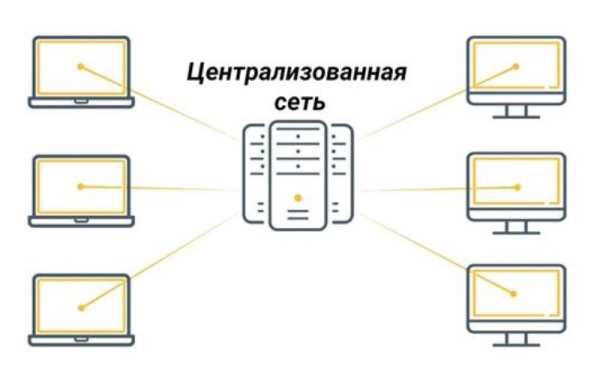 Децентрализованные и управляемые цифровые сети: ключевые отличия
Децентрализованные и управляемые цифровые сети: ключевые отличия