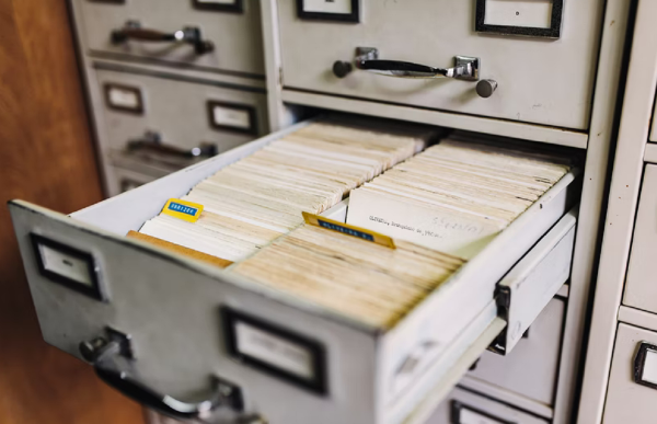 Яндекс, VK, Ozon и МТС изъявили желание заниматься учетом интернет-рекламы в России