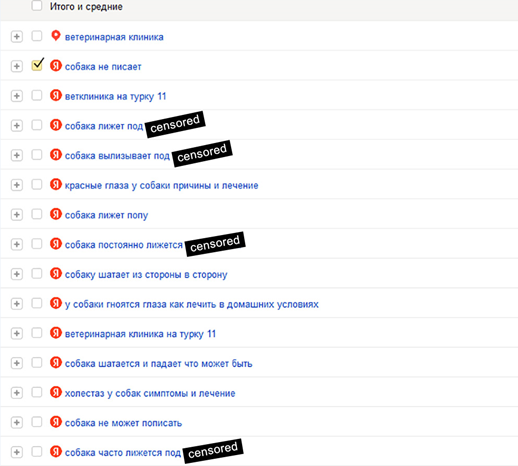 10 лет развития: от домена до сети клиник – ошибки, тактика, стратегия. Кейс продвижения сети ветеринарных клиник 10 лет развития: от домена до сети клиник – ошибки, тактика, стратегия. Кейс продвижения сети ветеринарных клиник
